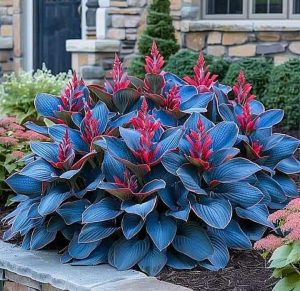 Хоста Грин Фог купить по цене от 669р. в интернет-магазине «Посадика» с доставкой почтой в в Хотьковое и по всей России – [изображение №1].