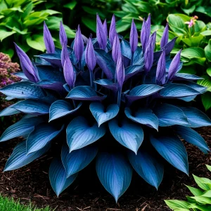 Хоста Сикрет Гров купить по цене от 570р. в интернет-магазине «Посадика» с доставкой почтой в в Хотьковое и по всей России – [изображение №1].